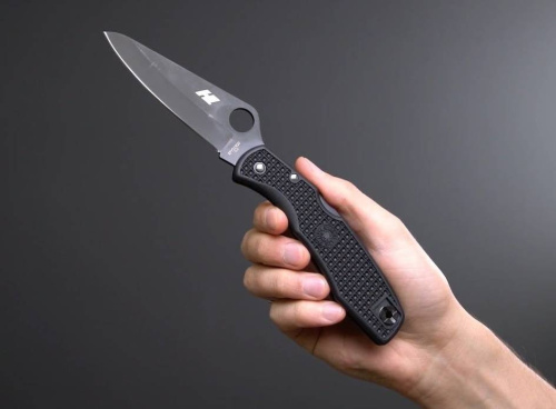 Складной нож Spyderco Salt 1 - C88PBBK фото 2